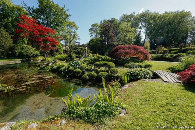 Taille en nuage, érables du japon, hêtres pourpres, jacinthes et tulipes le rendent attrayant tout au long de l’année.