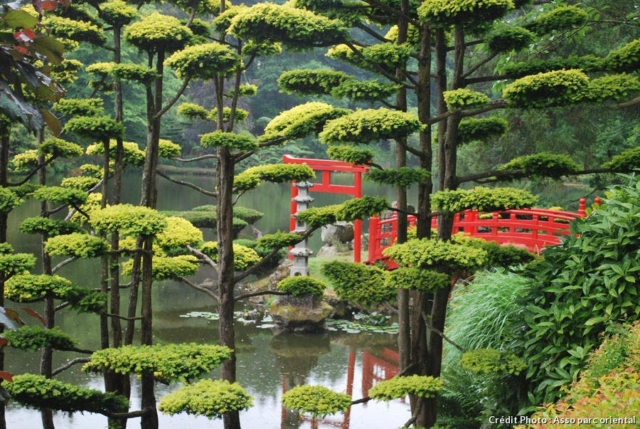 le parc oriental de Maulévrier est un incontournable pour les passionnés du Japon et de l’art des jardins