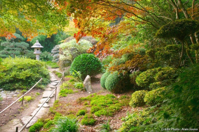 une idée de jardin japonais particulièrement dépaysant.